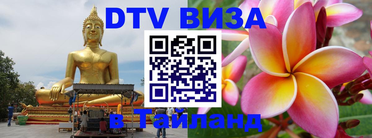 Оформление DTV визы под ключ: стоимость и тарифы, только загранпаспорт - 